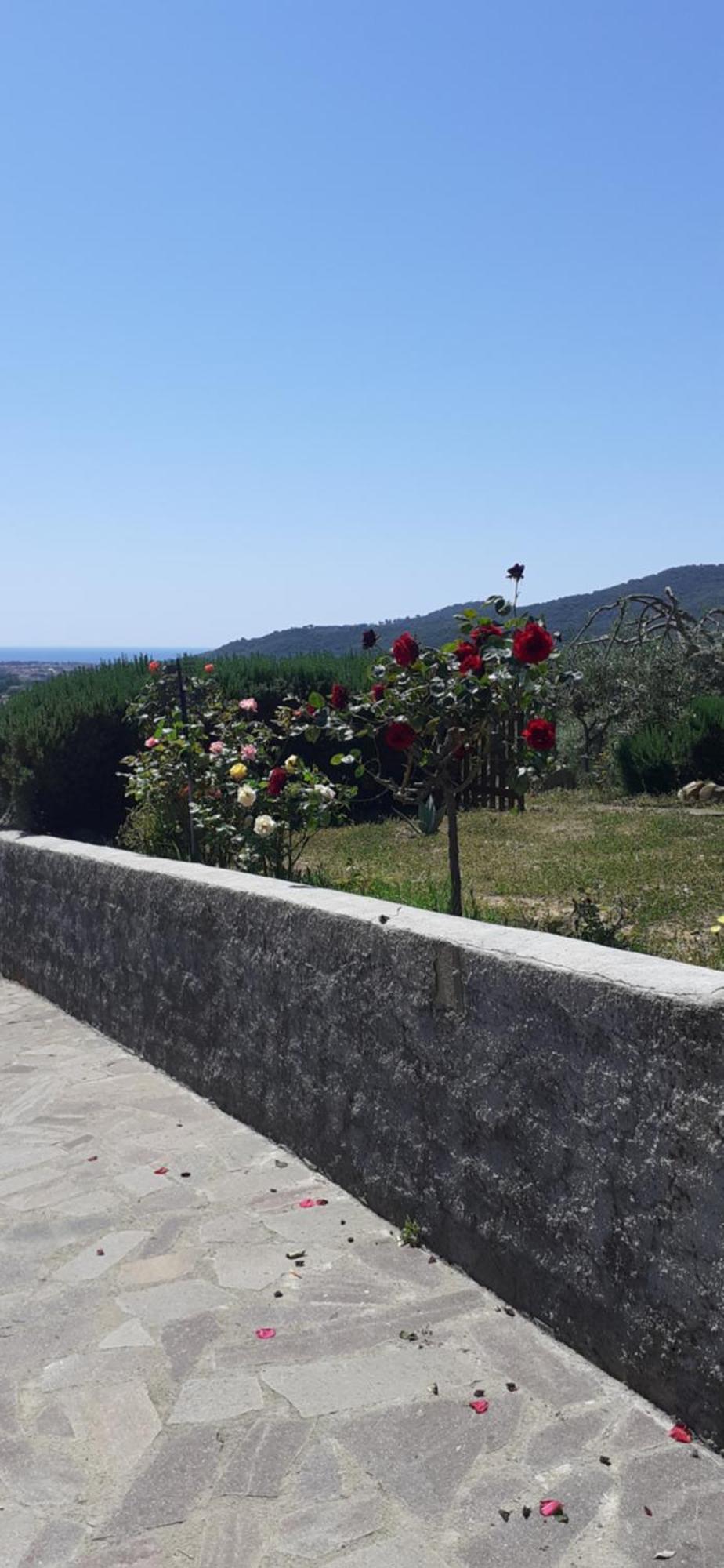 Bellavista Prile Bed and Breakfast Castiglione della Pescaia Kamer foto